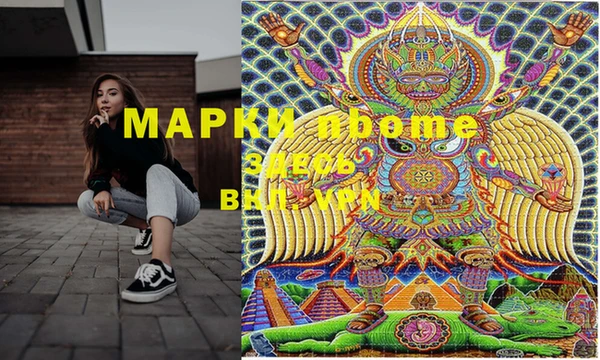 индика Баксан