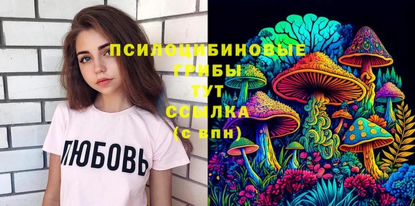 индика Баксан